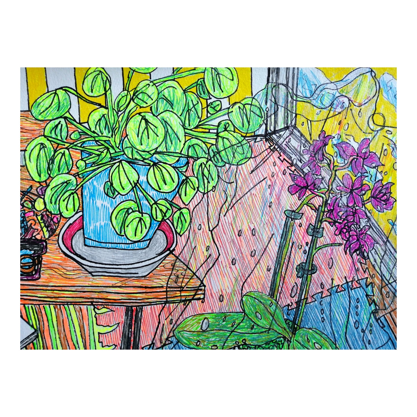Home - still life