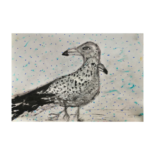 Seagull|Pigeon