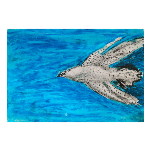 Seagull
